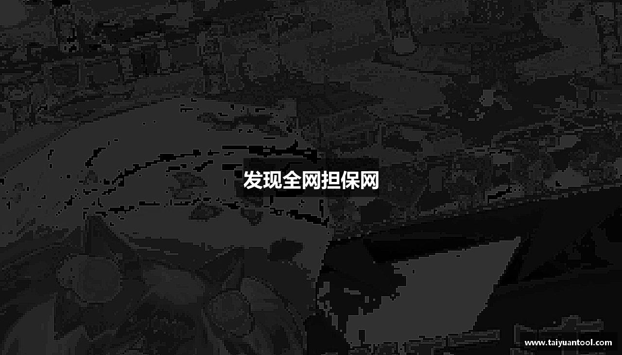 发现全网担保网